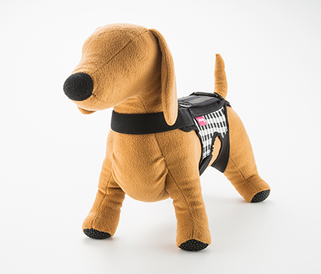 こんな愛犬におすすめです！