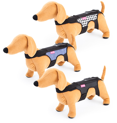コムペット ホロノアサポーター