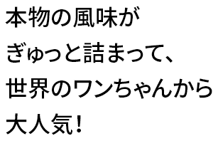 本物の風味がぎゅっと詰まって、世界のワンちゃんから大人気！