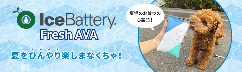 アイスバッテリーフレッシュAVA