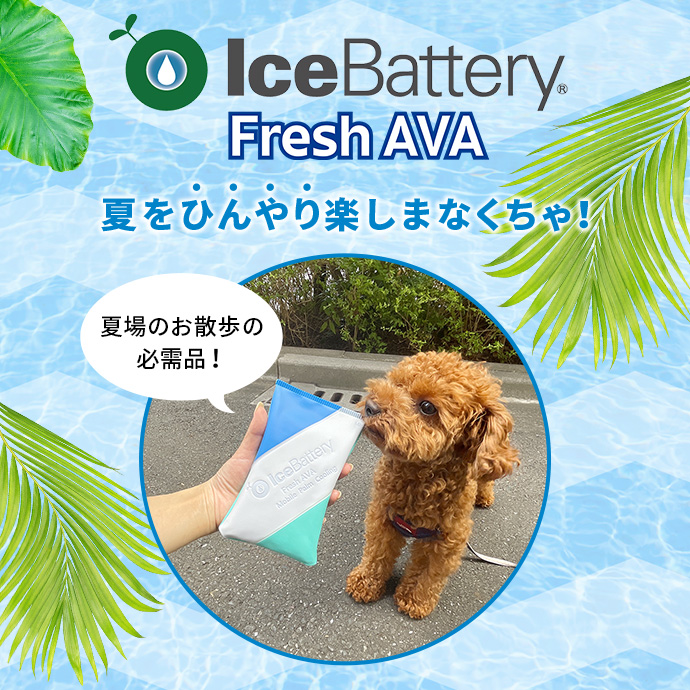 アイスバッテリーフレッシュAVA