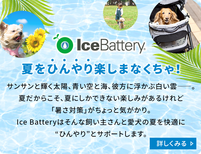 IceBattery 夏をひんやり楽しまなくちゃ!