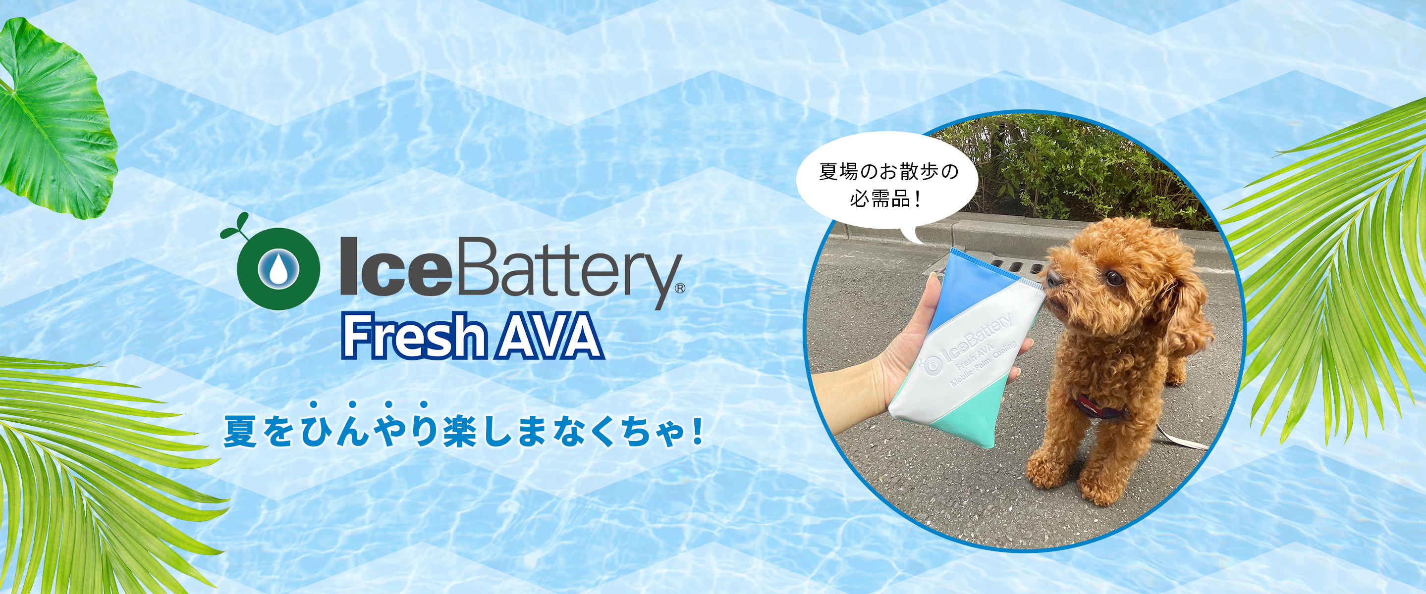 夏をひんやり楽しまなくちゃ！夏場のお散歩の必需品！「IceBattery Fresh AVA」
