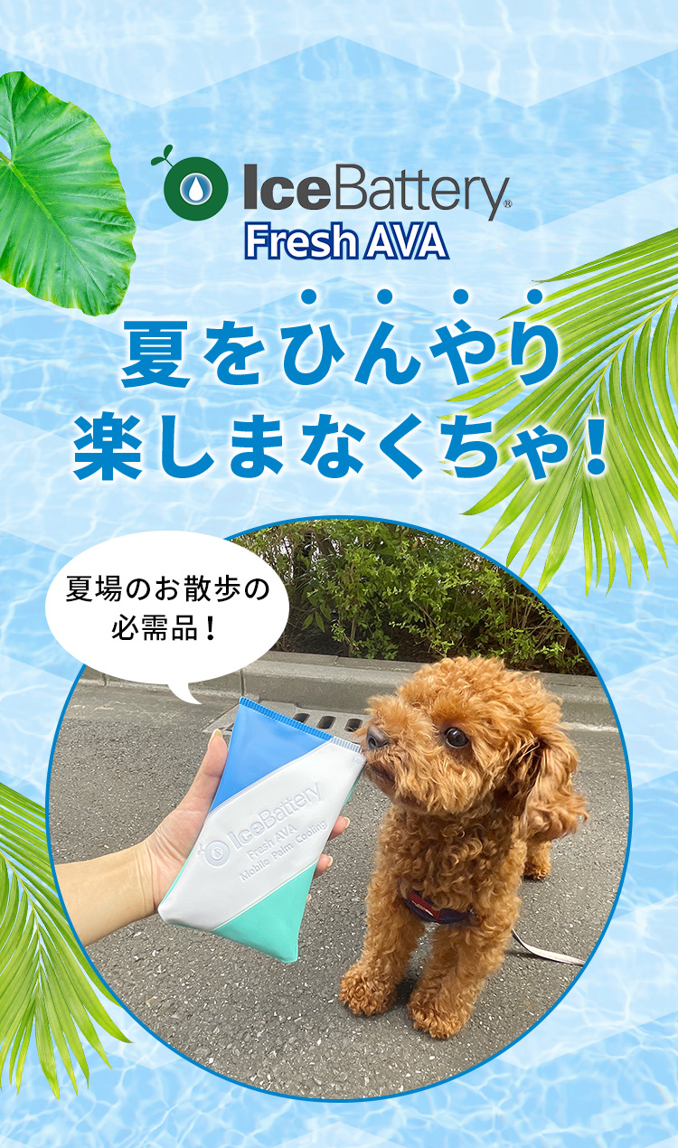 夏をひんやり楽しまなくちゃ！夏場のお散歩の必需品！「IceBattery Fresh AVA」