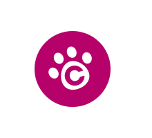 C-Choice