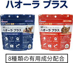 ハオーラプラス