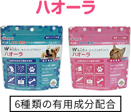 ハオーラ
