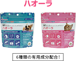 ハオーラ