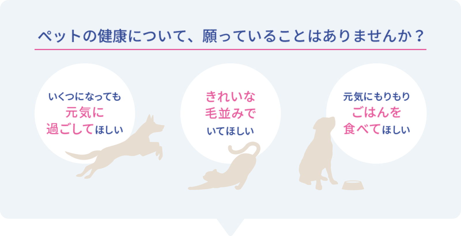 ペットの健康について、願っていることはありませんか？