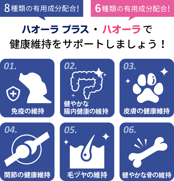 ハオーラプラス・ハオーラで健康維持をサポートしましょう！