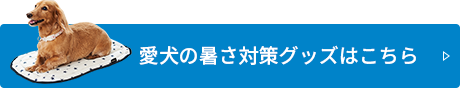 愛犬の暑さ対策グッズはこちら
